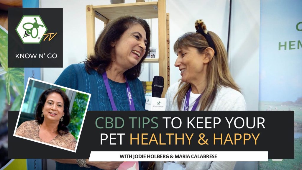 Is CBD Good for Dogs & Cats?