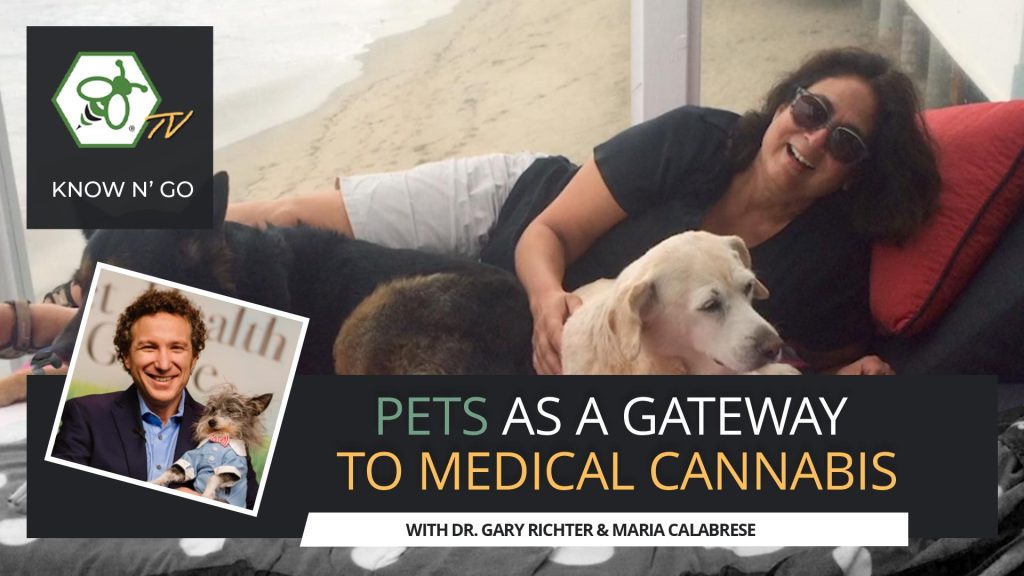 How Medical Cannabis Helped GBL Founder's Dog | know n' go