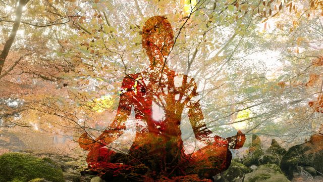 A colorful photo composition of the human body with the endocannabinoid system highlighted