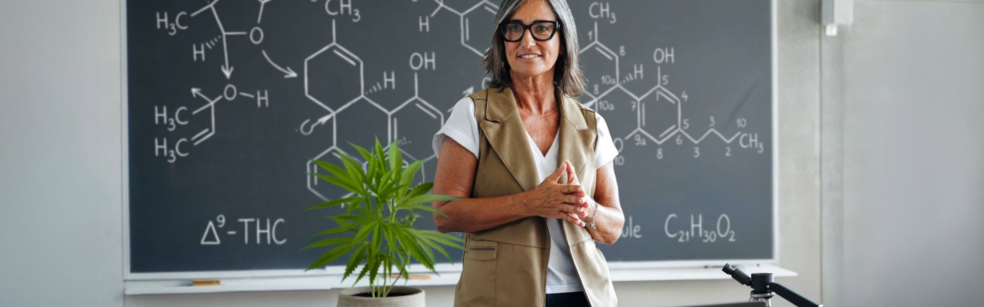 What Is THC?