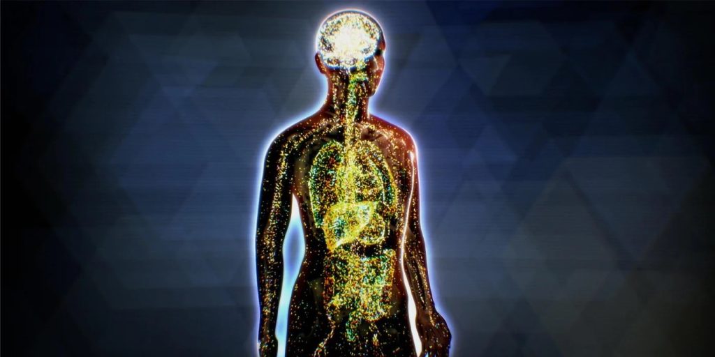 A colorful illustration of the human body with the endocannabinoid system highlighted