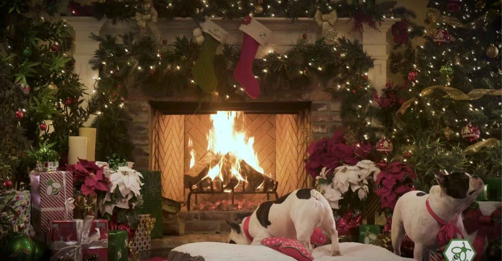 Canna Canine - Best Friends Yule Log