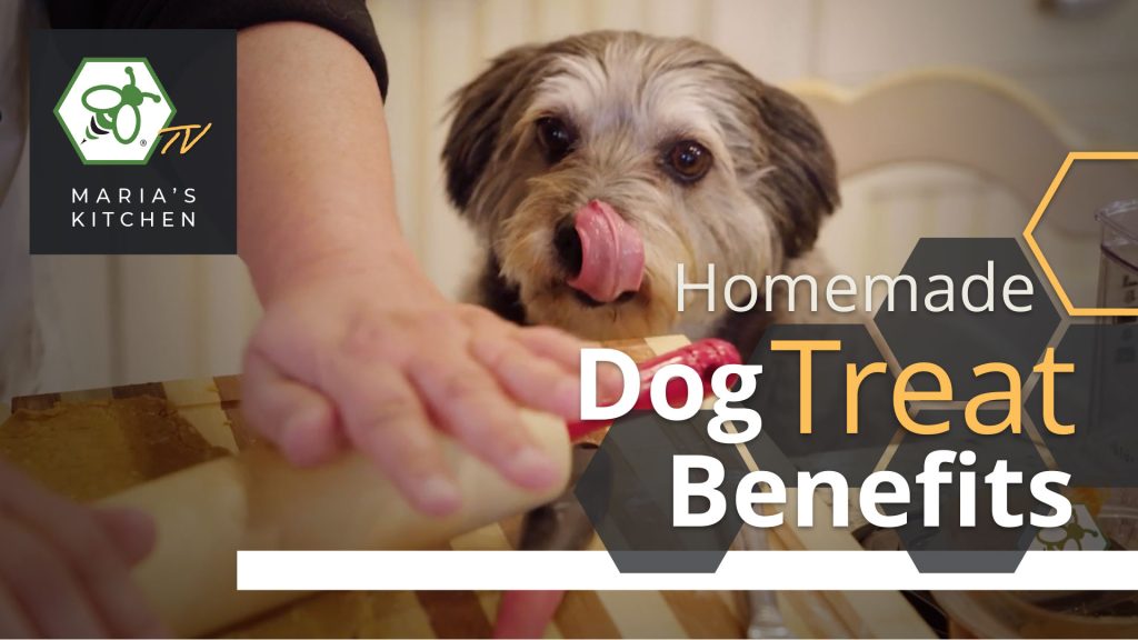 Benefits of Homemade Dog Treats