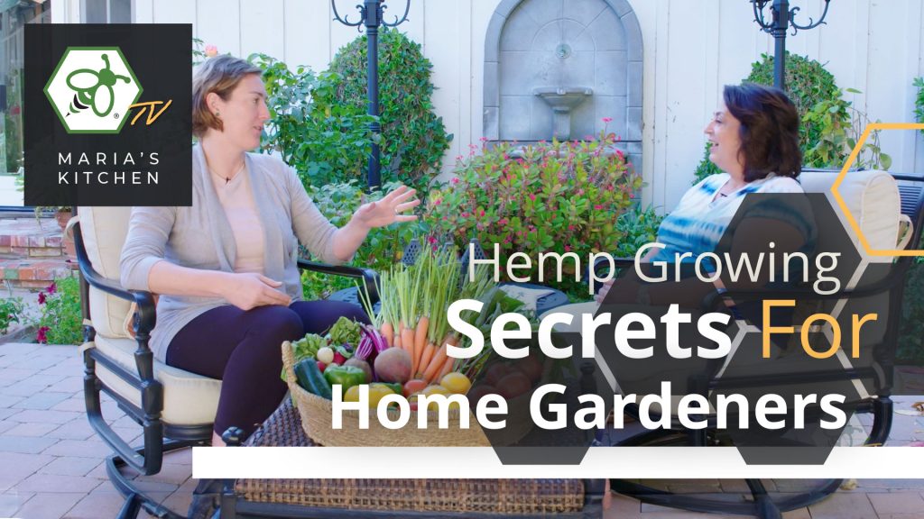 Sow & Tell | Part 3: Hemp Growing Secrets for Home Gardeners