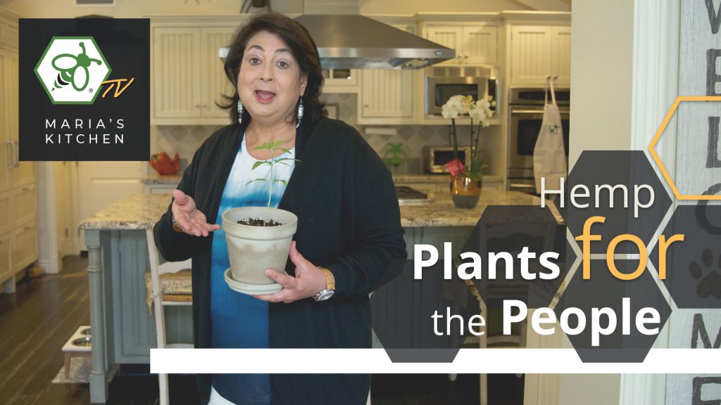 Sow & Tell | Part 1: Bringing Hemp Plants to the People