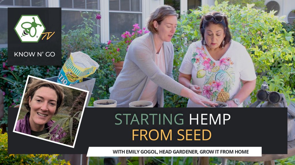 The Ultimate Guide to Starting Hemp From Seed