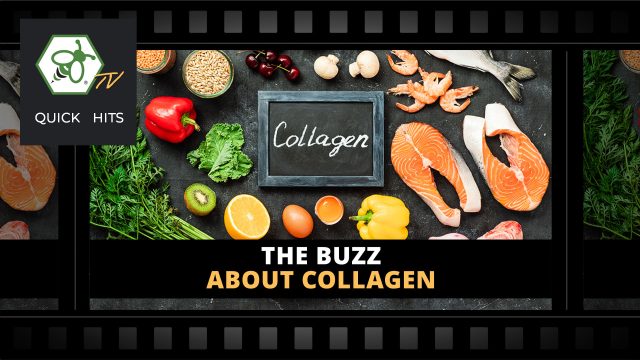 The Importance of Adding Collagen to Your Diet