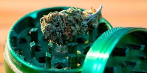 How to use grinder
