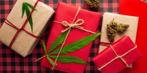 Gift Guide THC and CBD Edition