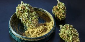 best grinders for kief