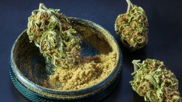 best grinders for kief