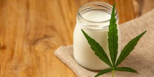 how to make cannabis milk