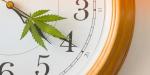 420 meaning