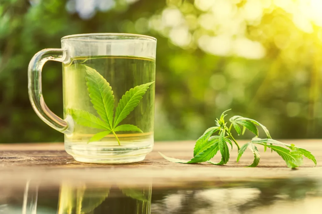 Cannabis Leaf Tea (Non-Psychoactive)