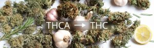 Photo of cannabis buds, garlic, and rosemary with text overlay reading THCA to THC, illustrating the decarboxylation process that activates cannabinoids in cannabis