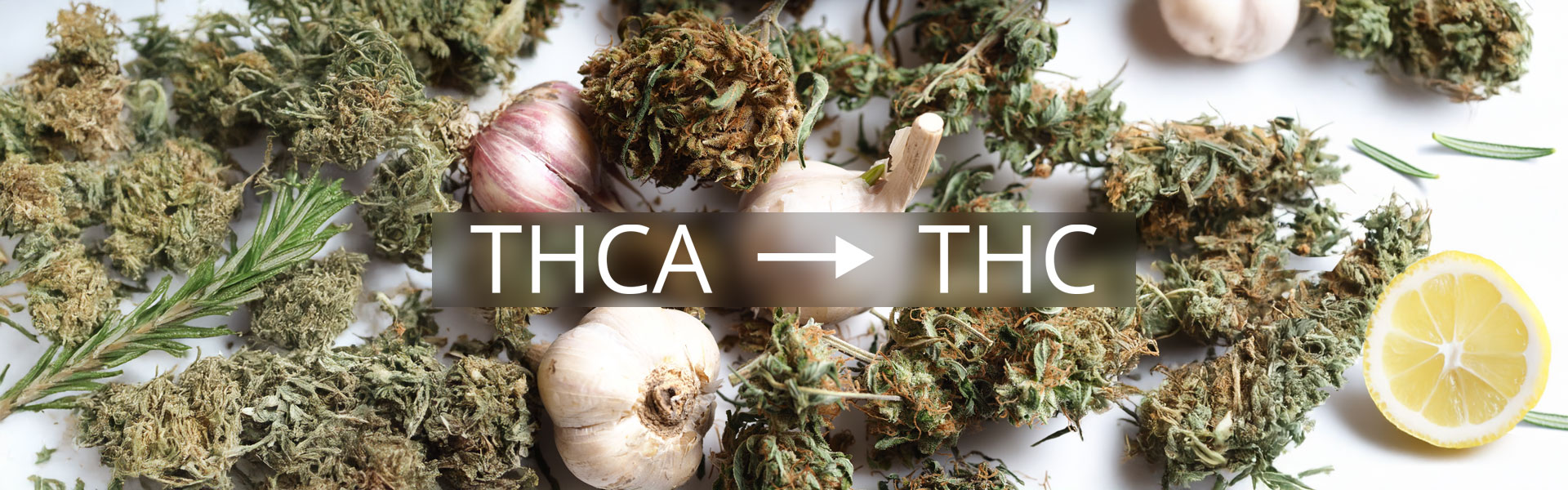 Photo of cannabis buds, garlic, and rosemary with text overlay reading THCA to THC, illustrating the decarboxylation process that activates cannabinoids in cannabis