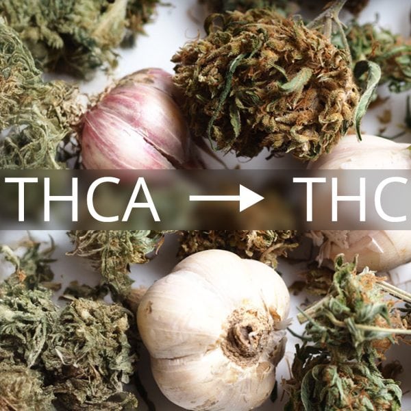 Photo of cannabis buds, garlic, and rosemary with text overlay reading THCA to THC, illustrating the decarboxylation process that activates cannabinoids in cannabis