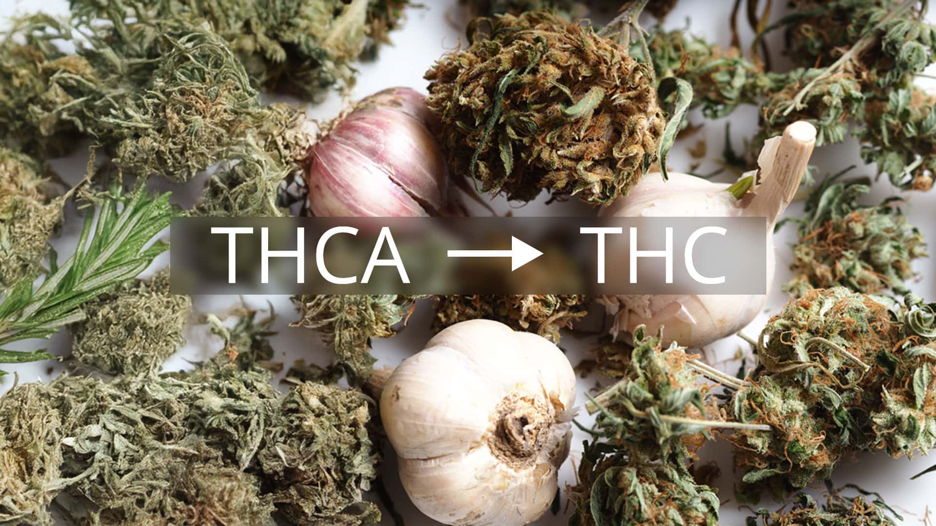 Photo of cannabis buds, garlic, and rosemary with text overlay reading THCA to THC, illustrating the decarboxylation process that activates cannabinoids in cannabis