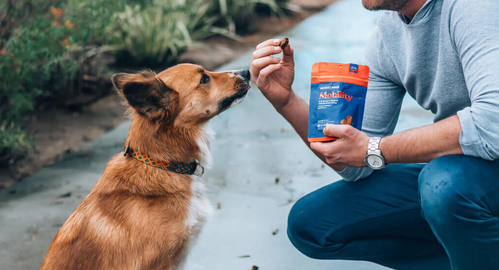 Mobility CBD Bites for Dogs