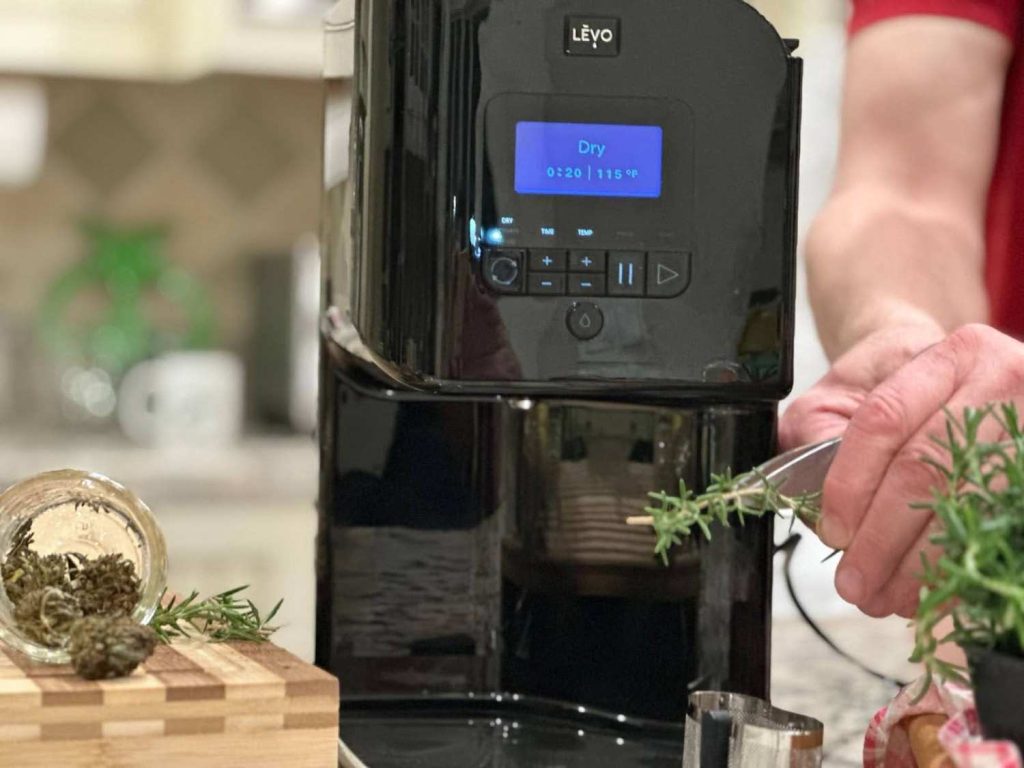 Person adding fresh rosemary to the LĒVO oil infuser while preparing a cannabis and herb infusion at home