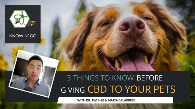 Cover for video 3 Things to Know Before Giving CBD to Your Pets with Dr. Tim Shu