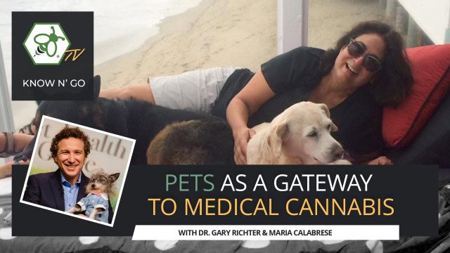 Cover for video Pets as a Gateway to Medical Cannabis with Dr. Gary Richter