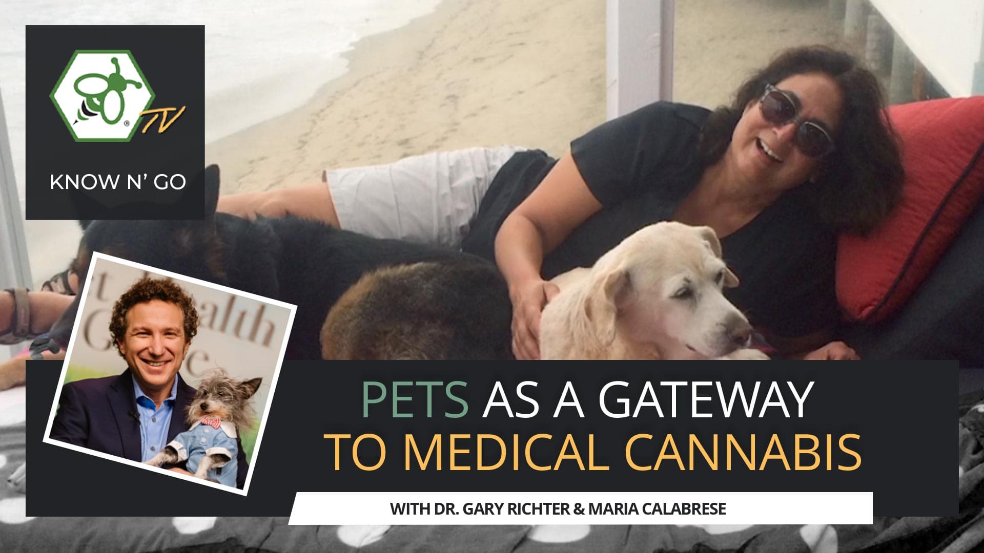 Cover for video Pets as a Gateway to Medical Cannabis with Dr. Gary Richter