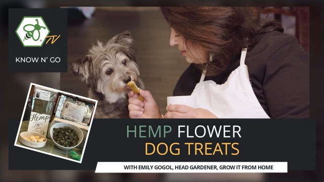 Cover for video How to Make Hemp Flower Dog Treats