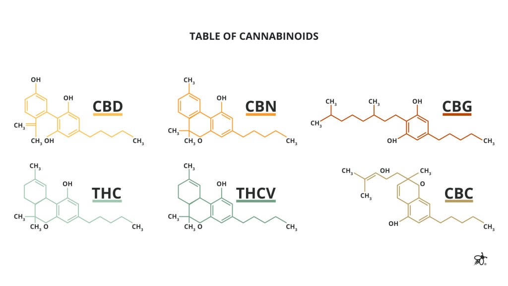 Table of major cannabinoids including CBD, THC, CBG, CBN, CBC, and THCV