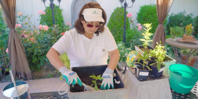Maria on her backyard planting hemp on a pot.