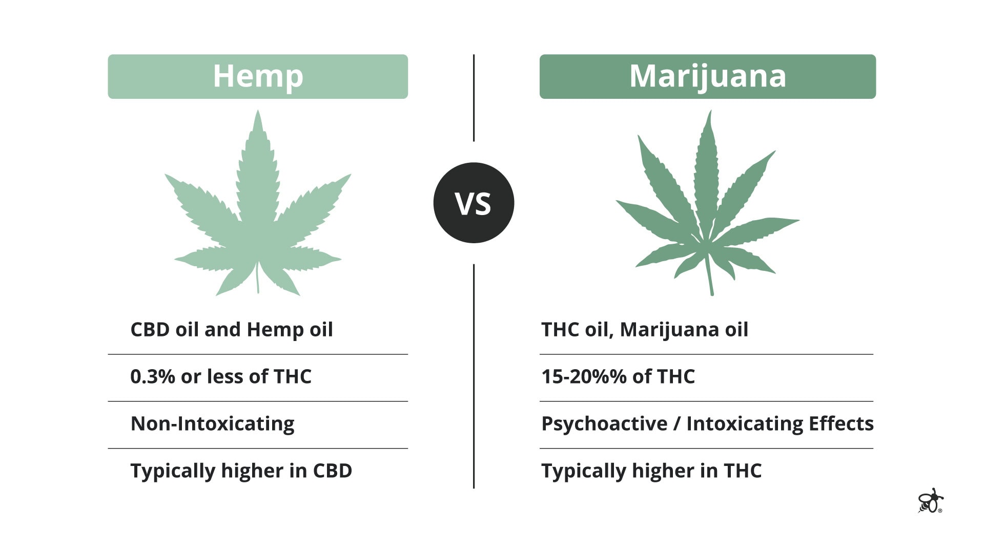 Illustration comparing hemp-derived CBD products and marijuana-derived THC products