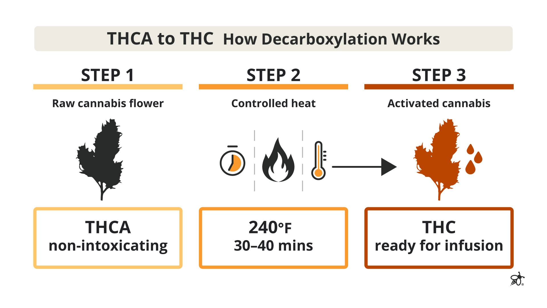 Educational infographic explaining how heat converts THCA into THC during cannabis decarboxylation for homemade edibles.