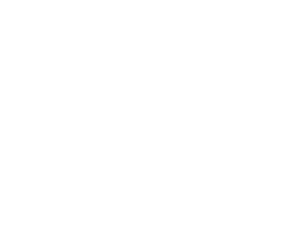 Know N Go logo