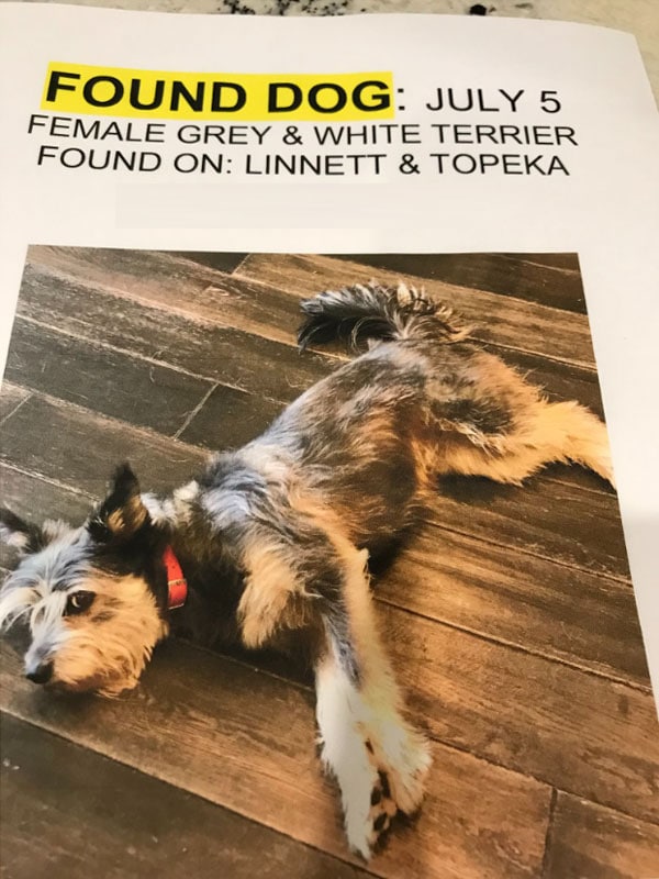 Lost dog flyer created after a frightened terrier mix was found following Fourth of July fireworks in 2018.