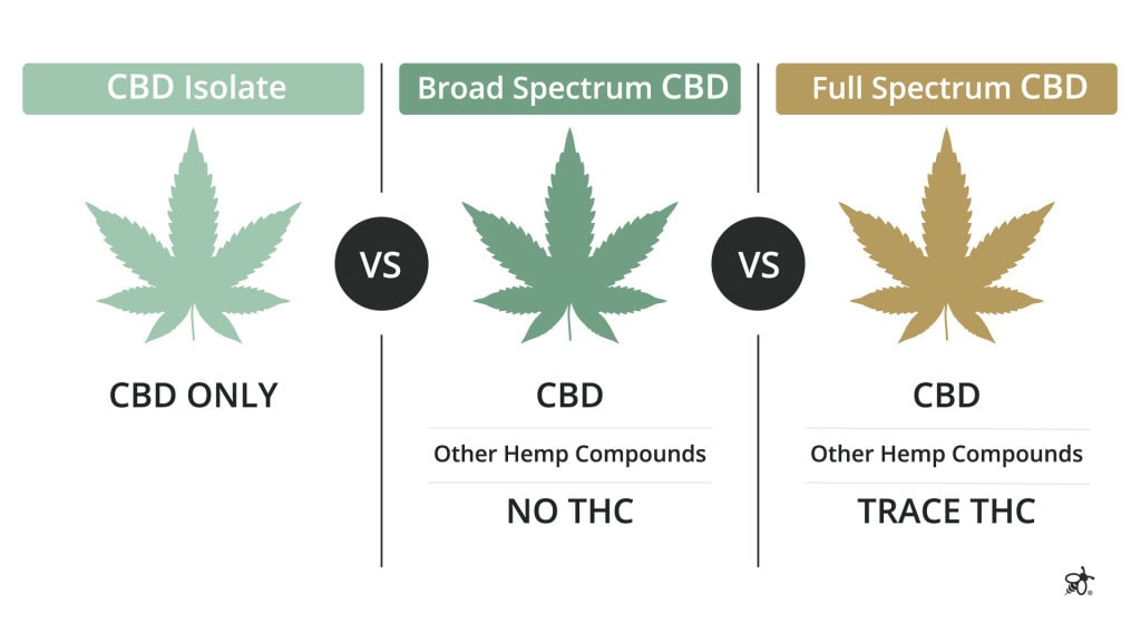 Comparison chart showing differences between full spectrum CBD, broad spectrum CBD, and CBD isolate.