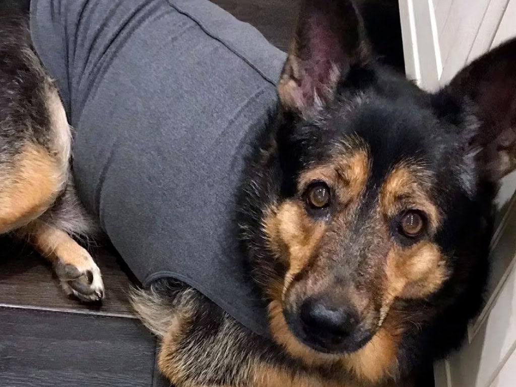 Roxy with a vest
