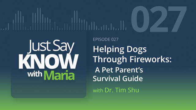 Helping Dogs Through Fireworks: A Pet Parent’s Survival Guide